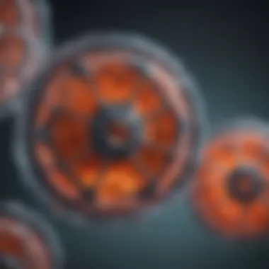 Magnificent An In-Depth Exploration of HEK293T Suspension Cells Magnificent An In-Depth Exploration of HEK293T Suspension Cells