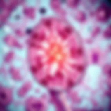 Magnificent Comprehensive Analysis of Clear Cell Renal Cell Carcinoma Pathology
