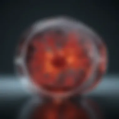 Magnificent L929: Insights into a Pivotal Cell Line in Biological Research
