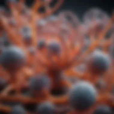 Magnificent Q5 Hot Start Polymerase: Mechanisms, Applications, and Advancements Magnificent Q5 Hot Start Polymerase: Mechanisms, Applications, and Advancements