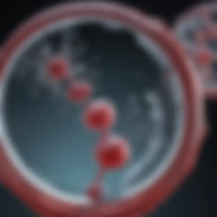 Magnificent The Significance of 2-O-Methyl Modification in Nucleic Acids