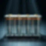 A Comparative Analysis of Sodium and Lithium Batteries Introduction