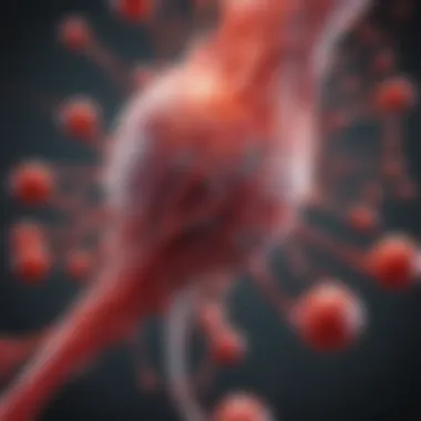 Visual representation of agglutination process in immune response.