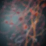Illustration depicting various types of cell lines used in research