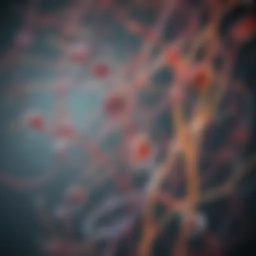 Illustration depicting various types of cell lines used in research