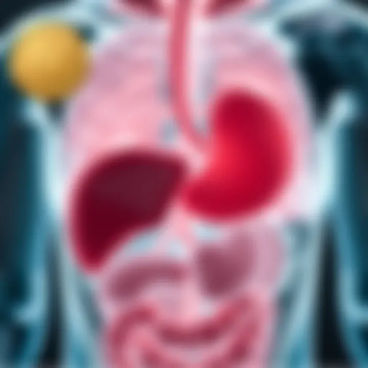 Diagram showing pathophysiological mechanisms of cholestasis