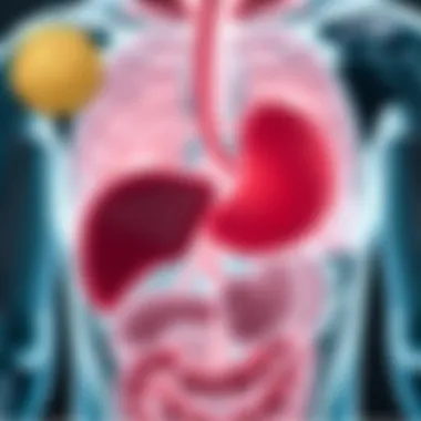 Pathophysiological Mechanisms of Acute Cholestasis Diagram showing pathophysiological mechanisms of cholestasis