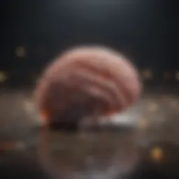 Visual representation of ADHD brain activity