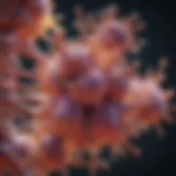Illustration of antibody structure highlighting idiotype regions
