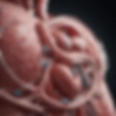 Treatment Modalities for PAH Visual representation of treatment modalities for severe pulmonary artery hypertension