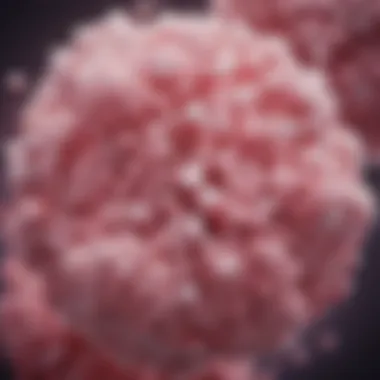 Understanding Tamoxifen's Molecular Composition Molecular structure of Tamoxifen