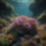 A vibrant underwater scene showcasing various anemone species in their natural habitat.