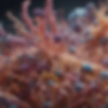 Understanding Mechanisms of Microbiome Disruption Mechanisms of antibiotic disruption