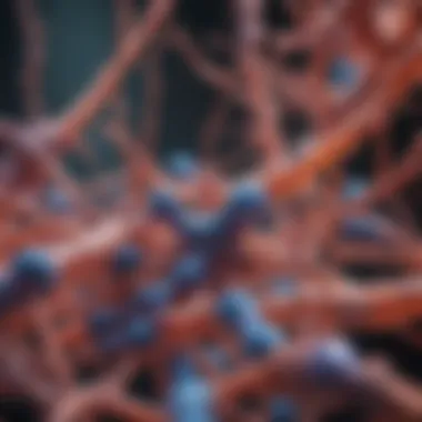 Technological Advancements in Antibody Development Technological advancements in antibody development