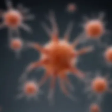 Research Applications of Synaptophysin Antibodies Application of synaptophysin antibodies in research