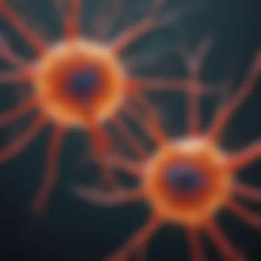 Astrocytes and Inflammation: A Dynamic Interaction Diagram illustrating the relationship between astrocytes and inflammation