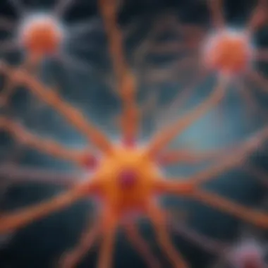 Astrocyte Function and Mechanisms in Neuroimmunology Conceptual illustration of astrocyte function in the brain