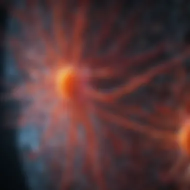 ATP and Cellular Signaling Infographic detailing ATP's function in cellular signaling