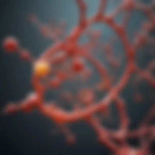 Molecular structure of ATP illustrating its components