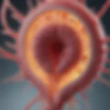 Illustration depicting the bacterium causing endocarditis