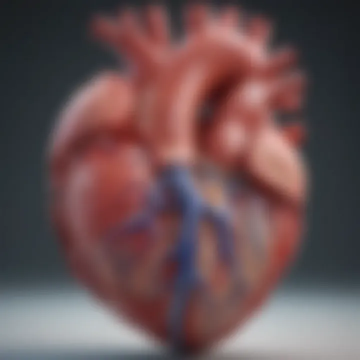 Diagram illustrating the heart's structure affected by endocarditis