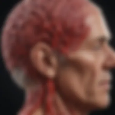 Blood Flow and Cognitive Decline Chart illustrating the correlation between blood flow alterations and cognitive decline