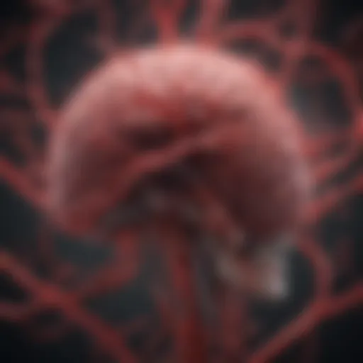 Illustration depicting cerebral blood flow dynamics