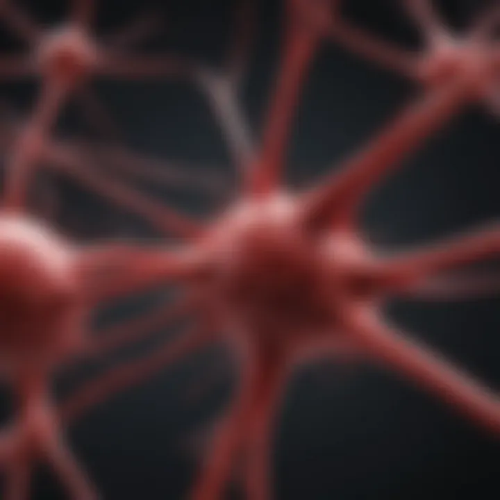 Graphic representation of neuronal activity influenced by blood supply