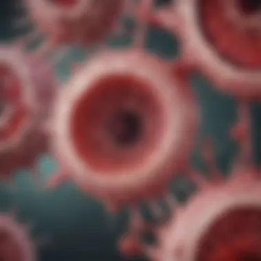 Mechanisms of Cancer Dissemination to Bone Marrow Detailed diagram illustrating the mechanisms of cancer cells spreading to bone marrow.
