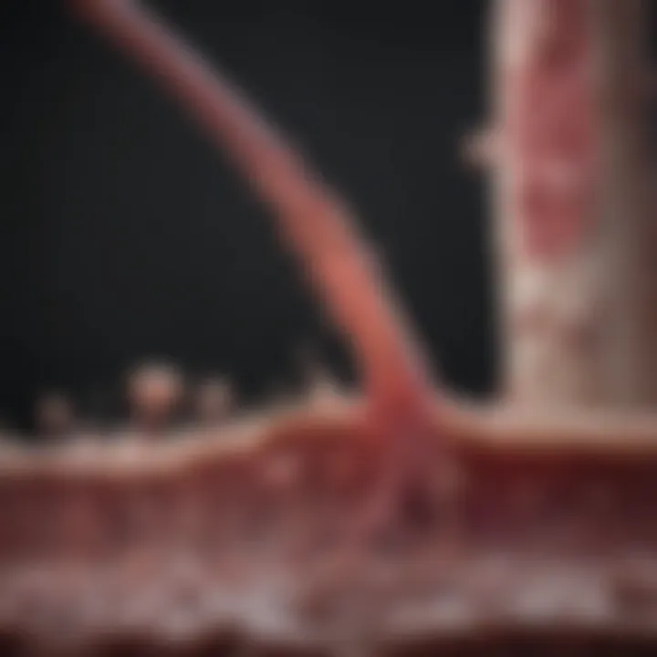 Graph showcasing ongoing research developments in bone marrow metastasis treatment.