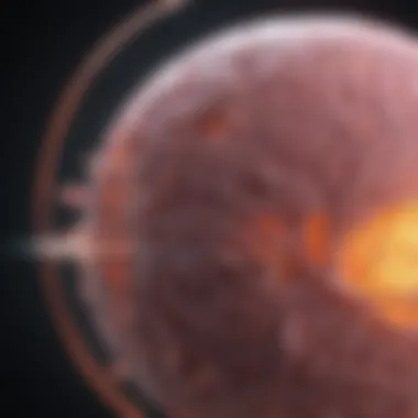 Innovations in Imaging Techniques for Cancer Detection Advanced imaging technology in use