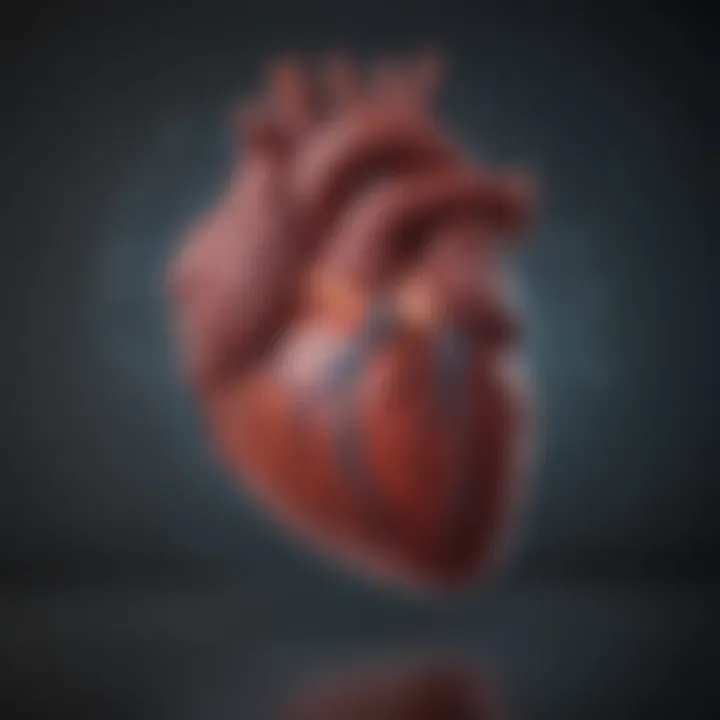 Graphical representation of cardiac rhythms measured by a heartbeat listening device