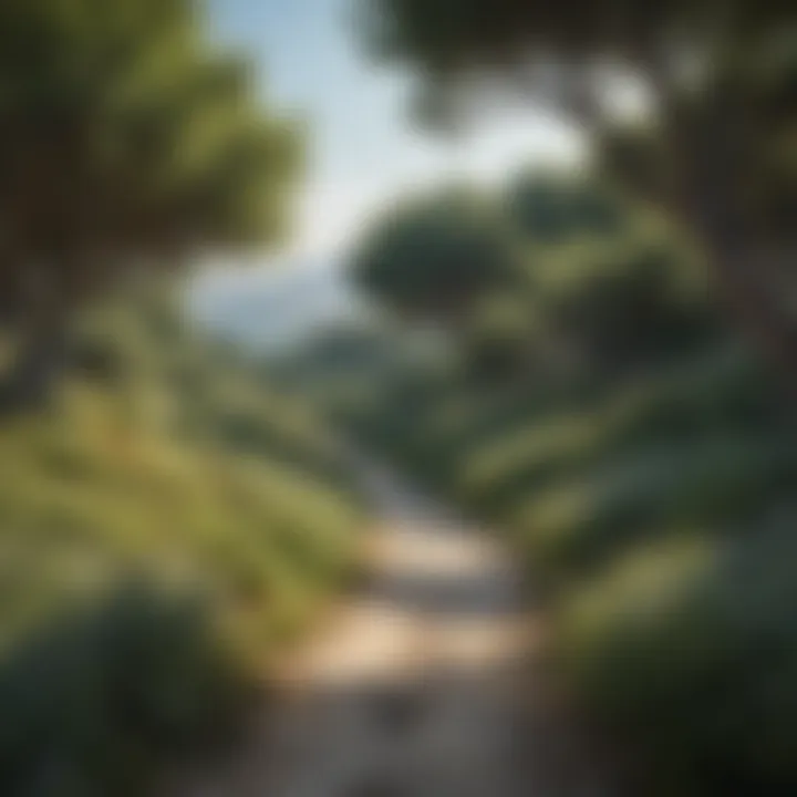 Lush landscape of Cephalonia featuring diverse flora and fauna, illustrating the island's rich ecosystems.