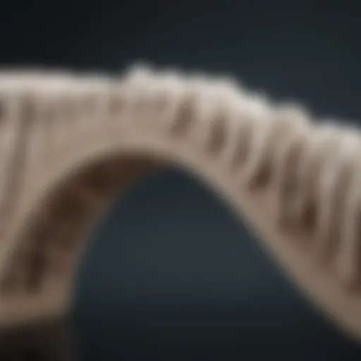 Close-up of a ceramic dental bridge showcasing its natural aesthetics