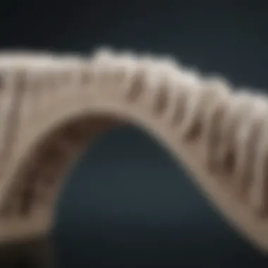 Aesthetic Appeal of Ceramic Bridges Close-up of a ceramic dental bridge showcasing its natural aesthetics