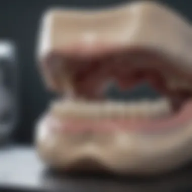 Photograph of advanced ceramic bridge fabrication technology in a dental lab