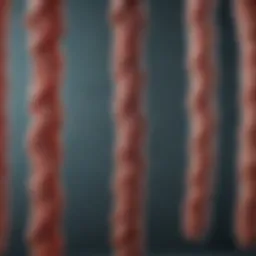 Chromosome 15 Duplication: Implications and Insights Introduction