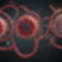 Diagram illustrating the link between chronic kidney disease and anemia mechanisms.