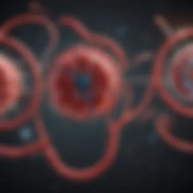 Diagram illustrating the link between chronic kidney disease and anemia mechanisms.