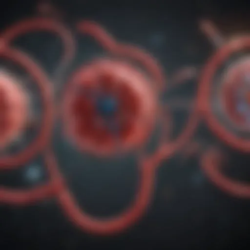 Diagram illustrating the link between chronic kidney disease and anemia mechanisms.