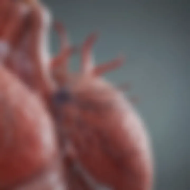Graph showing the clinical presentation of Atrial Fibrillation