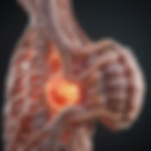 Illustration depicting the pathophysiology of spinal infarction