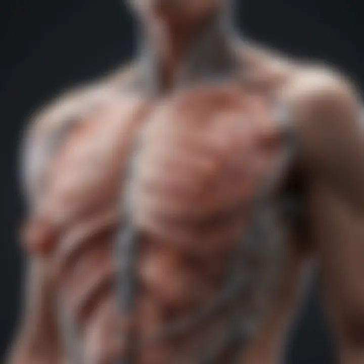 Diagram showcasing the latest therapeutic strategies for spinal infarction