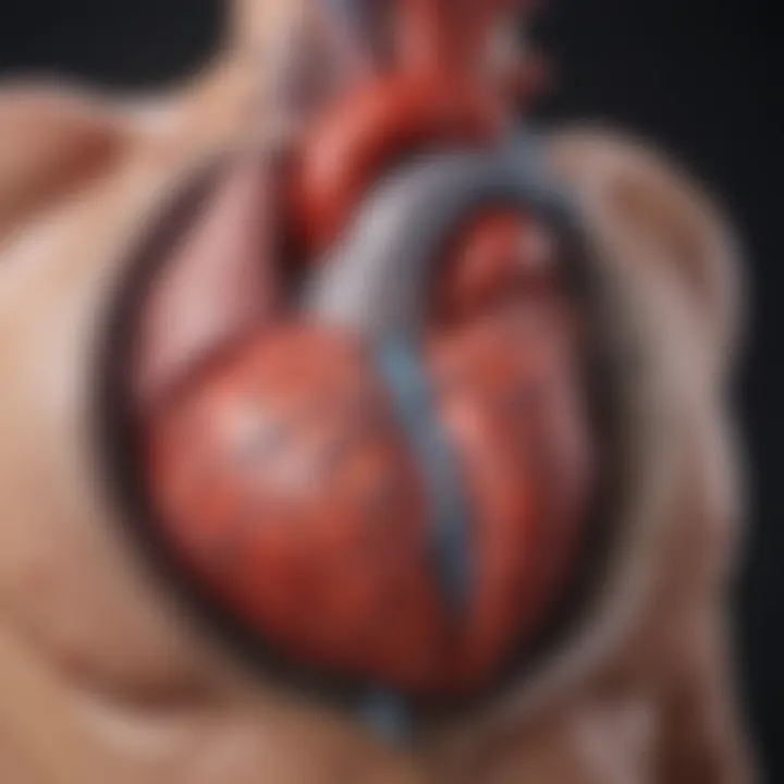 Diagram illustrating the clinical implications of atherosclerotic heart disease