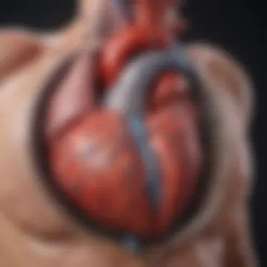 Clinical Implications of Atherosclerotic Heart Disease Diagram illustrating the clinical implications of atherosclerotic heart disease