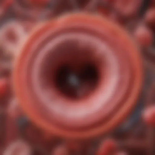 Illustration depicting the biological mechanisms of atherosclerosis