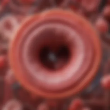 Biological Mechanisms of Atherosclerosis Illustration depicting the biological mechanisms of atherosclerosis