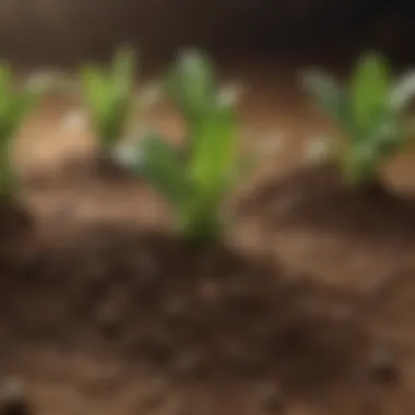 Crop Suitability Based on Soil Types Chart showing crop suitability for various soils