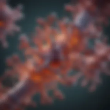 Recombinant Antibody Structures Graphical representation of recombinant antibody structures