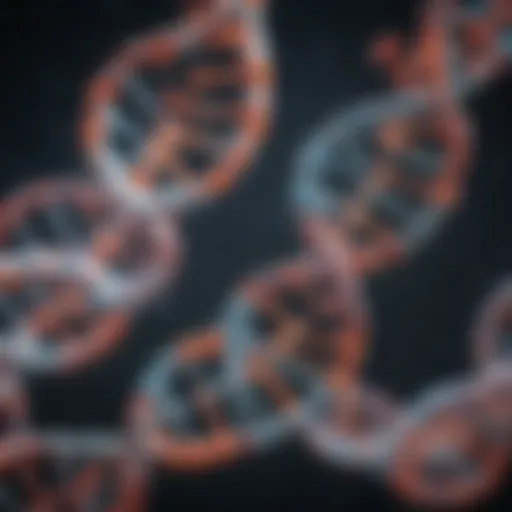 Illustration depicting the molecular structure of DNA
